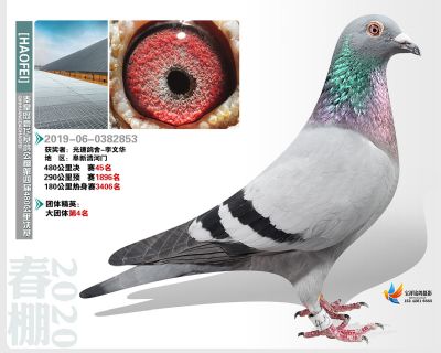秦皇岛豪飞公棚决赛45名