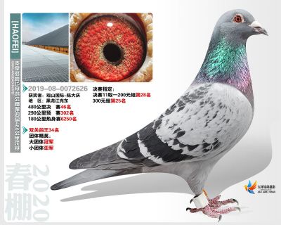 秦皇岛豪飞公棚决赛46名