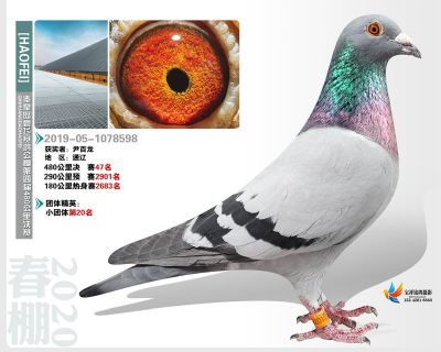 秦皇岛豪飞公棚决赛47名