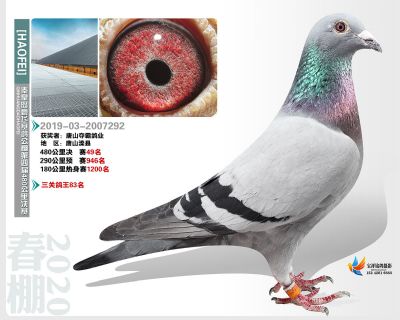 秦皇岛豪飞公棚决赛49名