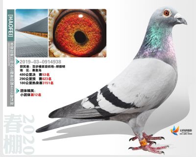 秦皇岛豪飞公棚决赛53名