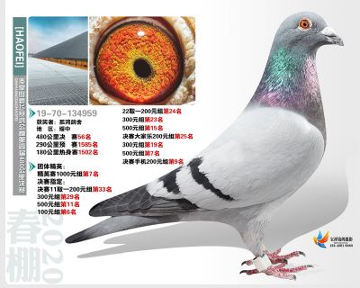 秦皇岛豪飞公棚决赛56名