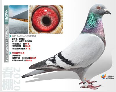秦皇岛豪飞公棚决赛58名