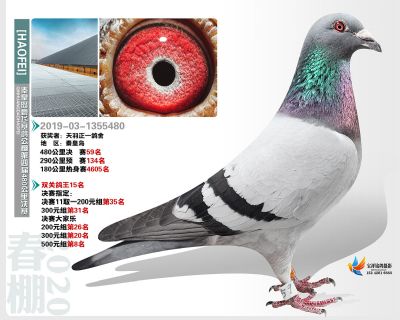 秦皇岛豪飞公棚决赛59名