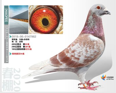秦皇岛豪飞公棚决赛62名