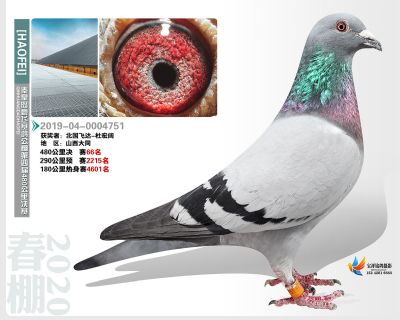 秦皇岛豪飞公棚决赛66名