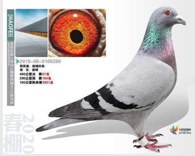 秦皇岛豪飞公棚决赛67名