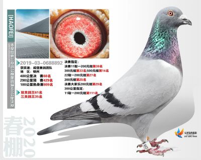 秦皇岛豪飞公棚决赛68名