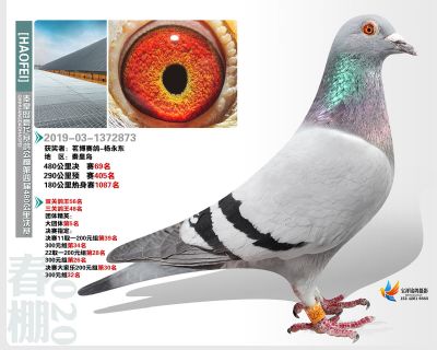 秦皇岛豪飞公棚决赛69名
