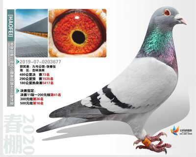 秦皇岛豪飞公棚决赛73名