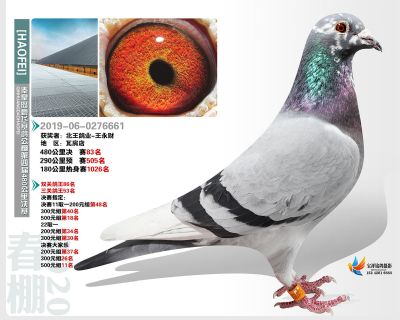 秦皇岛豪飞公棚决赛83名