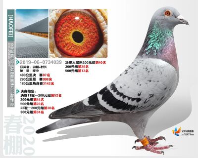 秦皇岛豪飞公棚决赛87名