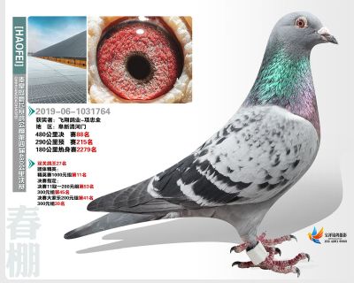 秦皇岛豪飞公棚决赛88名