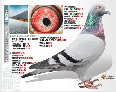 秦皇岛豪飞公棚决赛91名