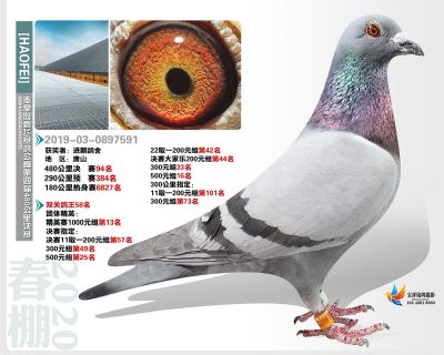 秦皇岛豪飞公棚决赛94名