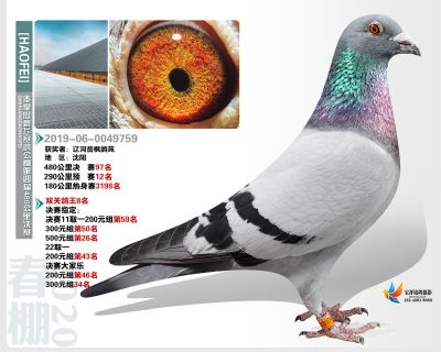秦皇岛豪飞公棚决赛97名