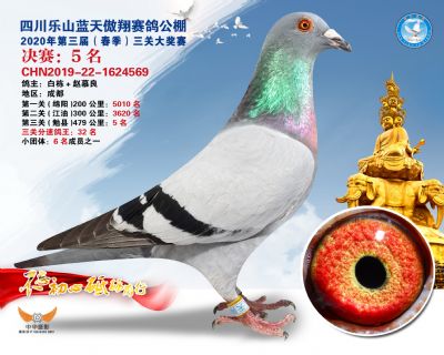 蓝天傲翔决赛5名