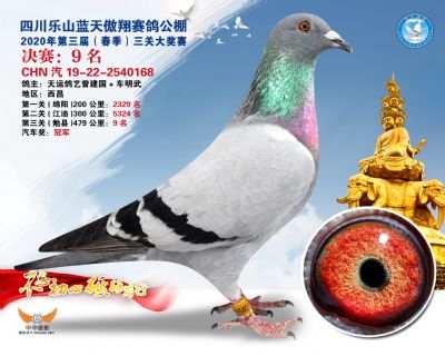 蓝天傲翔决赛9名