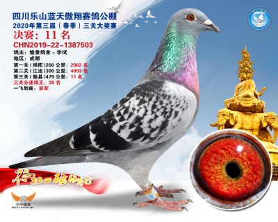 蓝天傲翔决赛11名