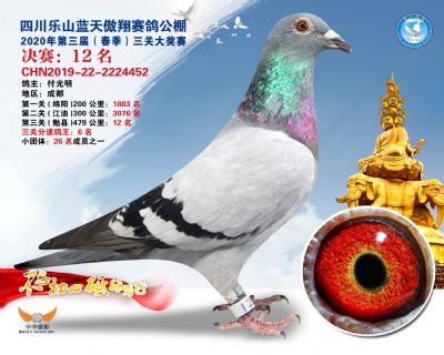 蓝天傲翔决赛12名