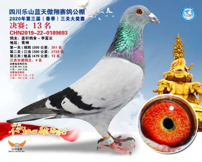 蓝天傲翔决赛13名