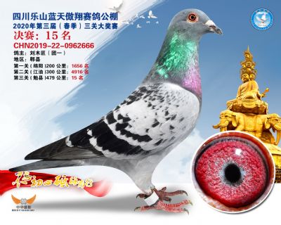 蓝天傲翔决赛15名