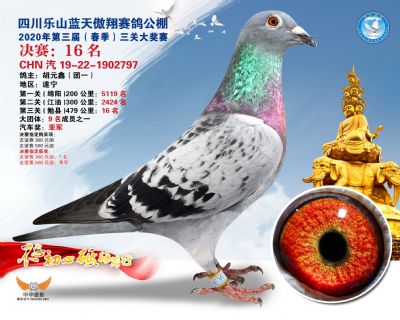 蓝天傲翔决赛16名