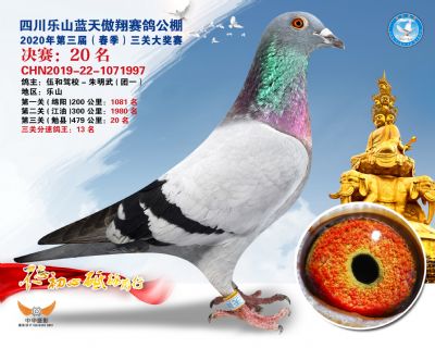 蓝天傲翔决赛20名