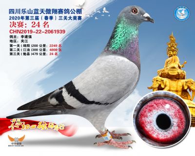 蓝天傲翔决赛24名