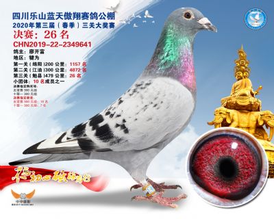 蓝天傲翔决赛26名