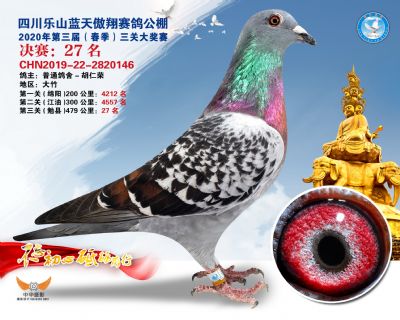 蓝天傲翔决赛27名