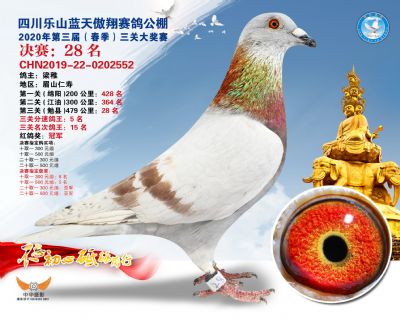 蓝天傲翔决赛28名