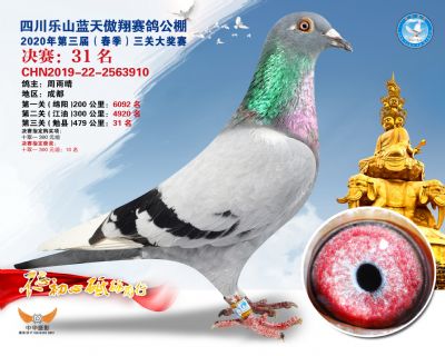 蓝天傲翔决赛31名