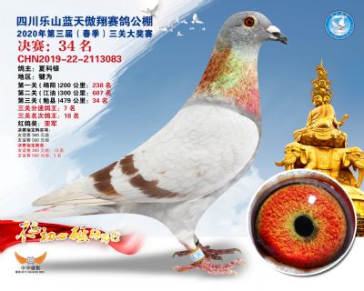 蓝天傲翔决赛34名