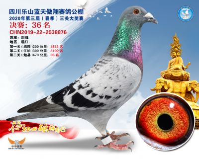 蓝天傲翔决赛36名