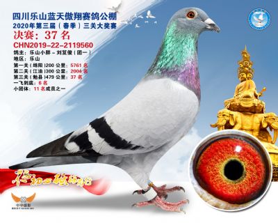 蓝天傲翔决赛37名