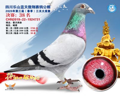 蓝天傲翔决赛38名