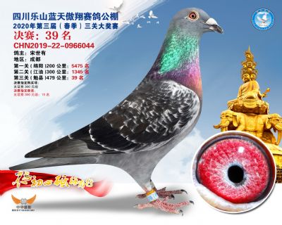 蓝天傲翔决赛39名