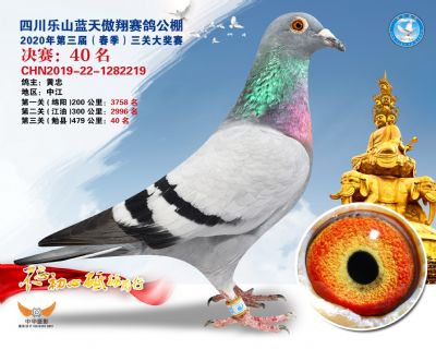 蓝天傲翔决赛40名