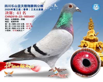 蓝天傲翔决赛41名