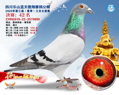 蓝天傲翔决赛42名