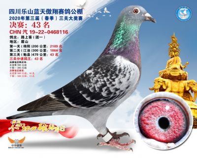 蓝天傲翔决赛43名