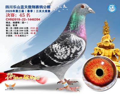 蓝天傲翔决赛45名