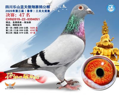 蓝天傲翔决赛47名