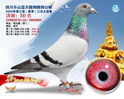 蓝天傲翔决赛50名
