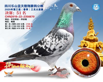 蓝天傲翔决赛51名