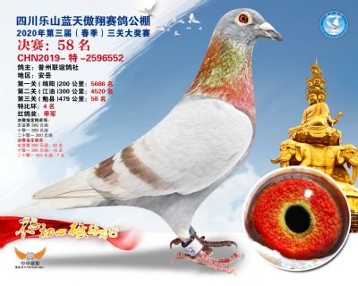 蓝天傲翔决赛58名