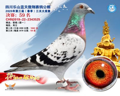 蓝天傲翔决赛59名