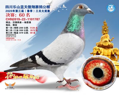 蓝天傲翔决赛60名