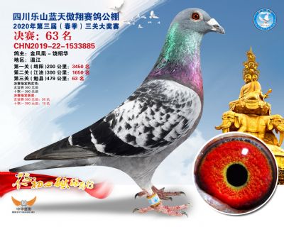 蓝天傲翔决赛63名